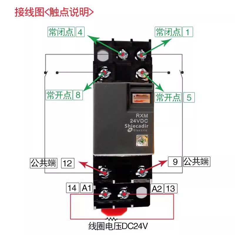 RXM2LB2BD国产中间小型继电器RXM4LB2P7 4AB2P7 2LB2JD