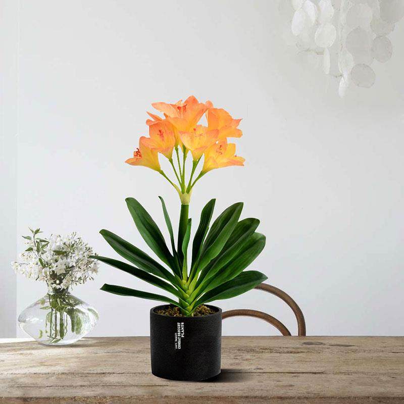 君子兰盆景花假花套装绿植室内客厅电视玄关柜摆放吧台装饰花