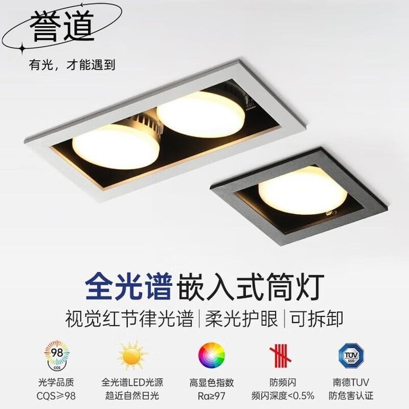 誉道led筒灯天花灯嵌入式双头斗胆客厅无主灯护眼过道智能gx53 全