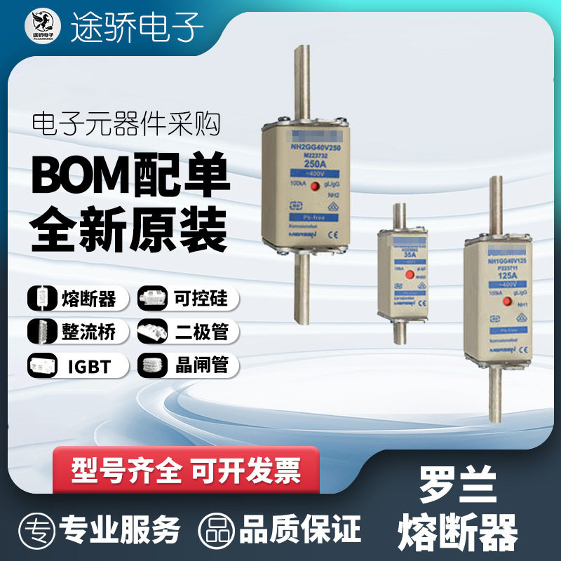 罗兰熔断器 NH3GS69V250PV R322590 NH3GS69V315PV E322579