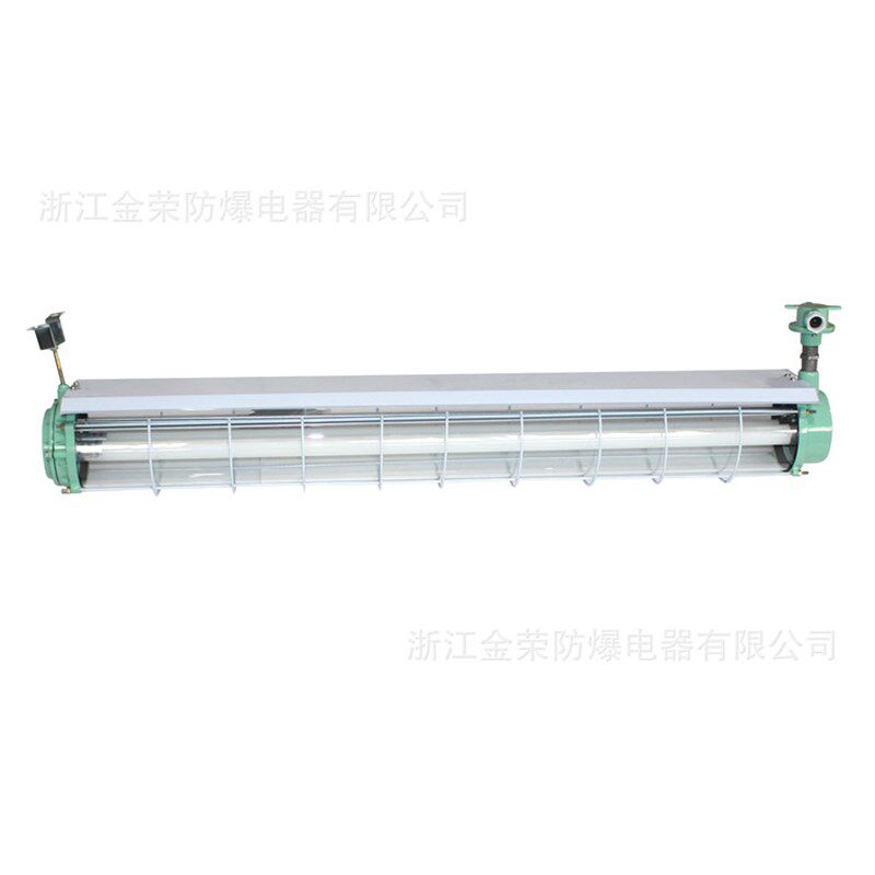 BPY52双管防爆荧光灯单管不锈钢净化灯IIC防潮防腐全塑IP66日光灯