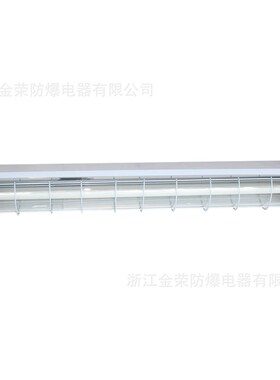 BPY52双管防爆荧光灯单管不锈钢净化灯IIC防潮防腐全塑IP66日光灯