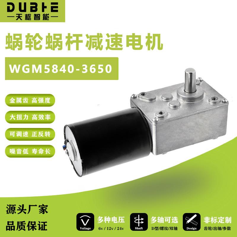 5840-3650无刷直流减速电机12伏24V蜗轮蜗杆自锁微小型可调速马达