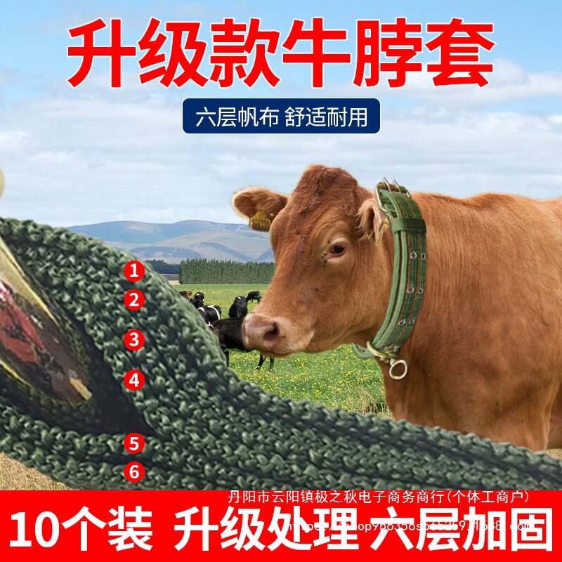 牛脖套栓牛项圈牛用品