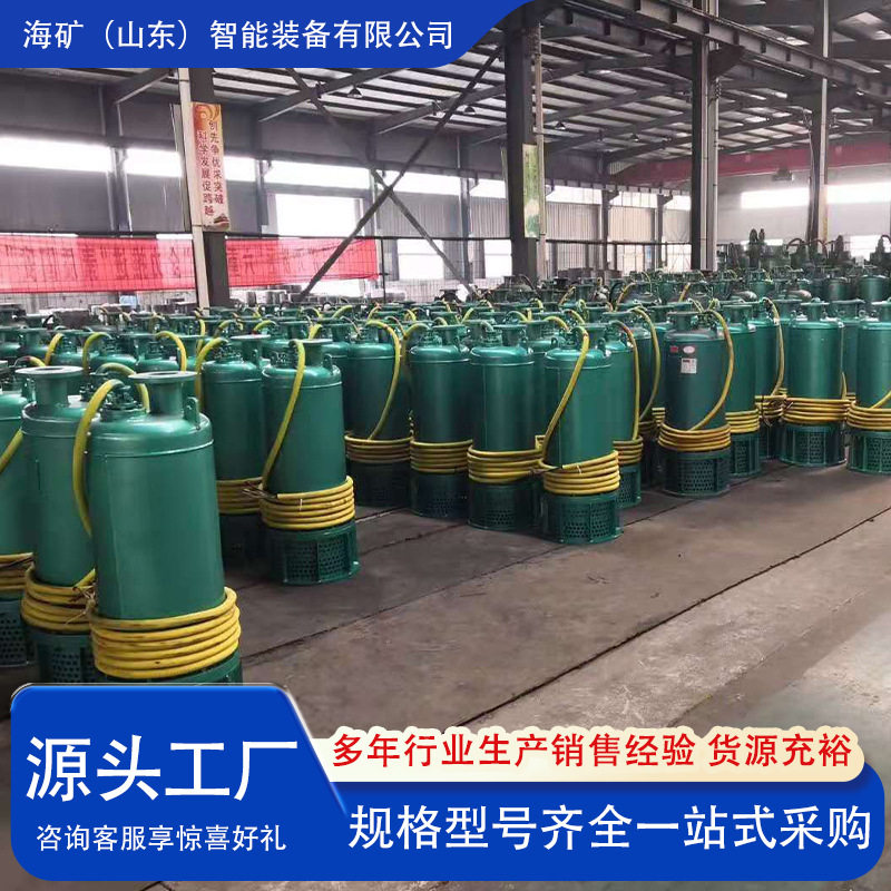 BQS防爆潜水泵大功率矿井排水