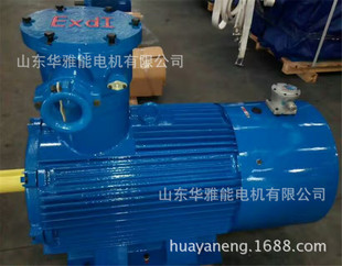 55KW电机注油孔带注油孔排油孔喷底漆 BM防爆电机端盖XDM2 280M