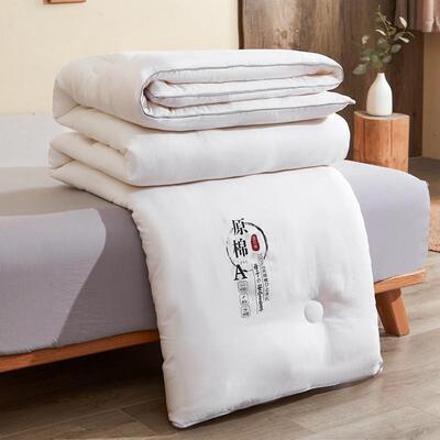 Winter Bedding Comforter Duvet Insert Quilt Blanket White