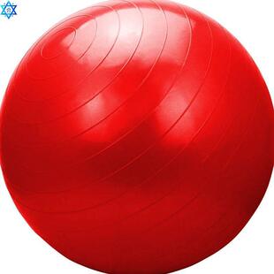 exercise gym yoga swiss ball Sports pregnancy birthing