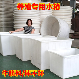 速发级塑料水箱加厚牛筋水产养大箱养鱼养龟方箱长方形周转箱殖号