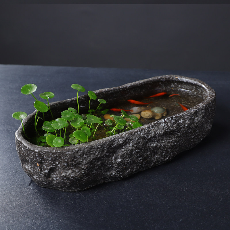 速发大口径无孔水仙花盆陶瓷睡莲碗莲特大号水培花器养鱼鱼缸花器