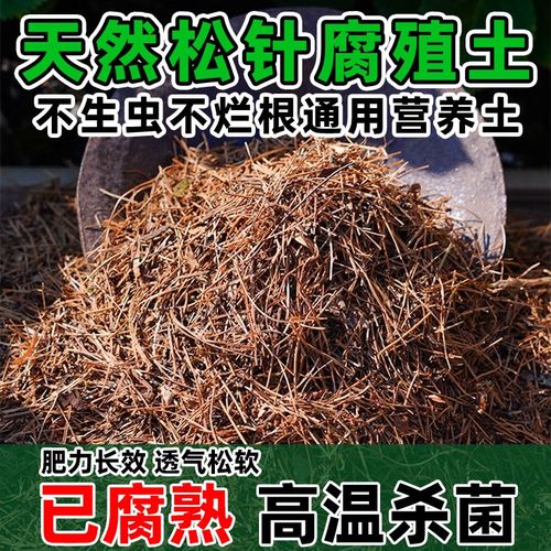 速发松针腐殖卉植发酵营养土室外花土蔬菜纯物盆栽通用肥料