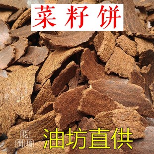 速发菜籽饼粉钓鱼打窝料花生麸油菜枯饼肥菜粕有机花枯花料生肥饼