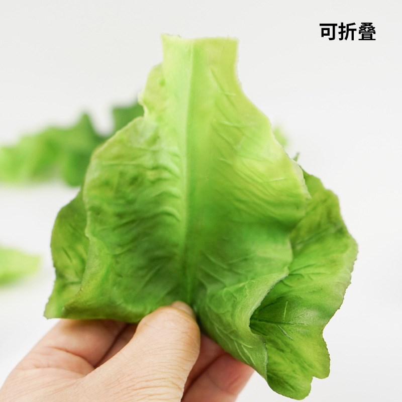 速发假生菜叶子橱柜模型材质道具厨房柜果蔬青菜大白菜水