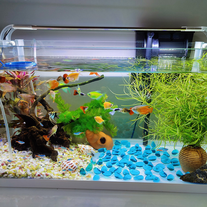 速发鱼缸造景腰果石玻璃珠水族摆件装饰品水族箱装饰透明水晶石头