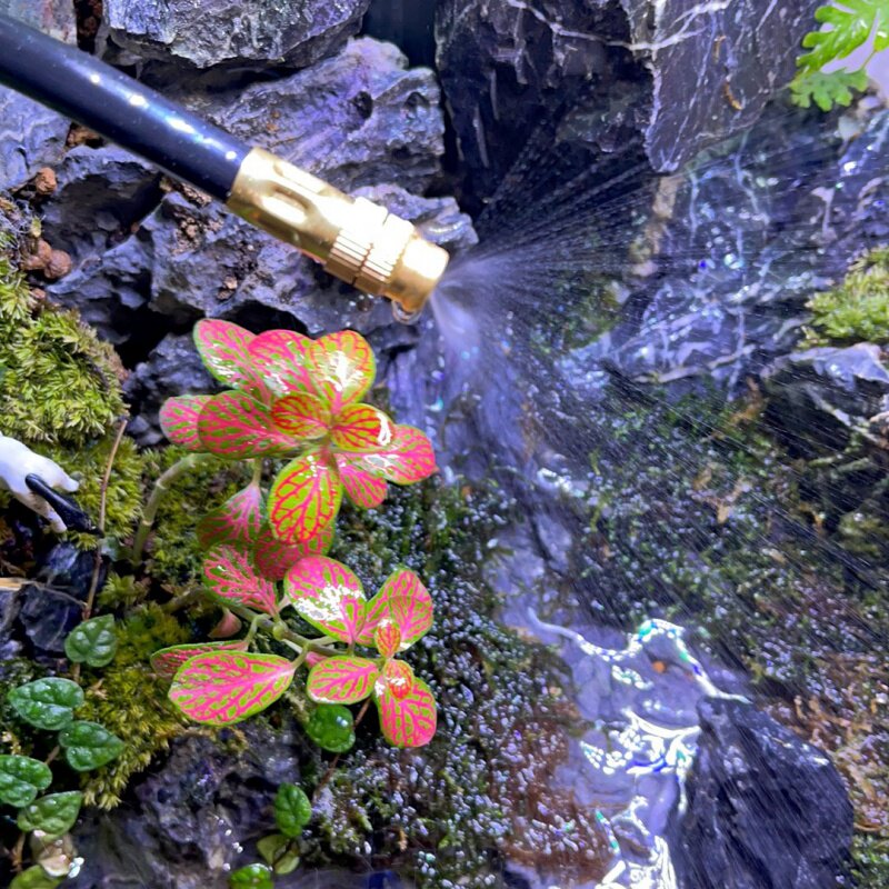 速发雨林生态缸懒人定时浇水龟箱智y能喷淋雾化手机自动浇花器加