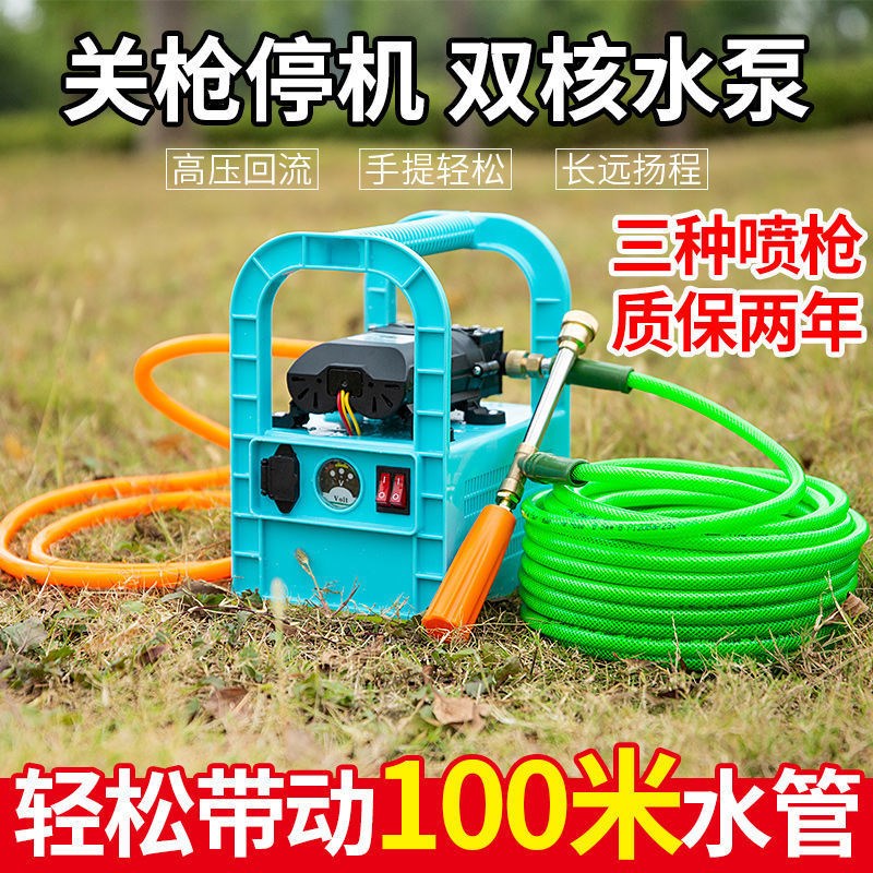 速发电动喷雾泵手提式农用充电打药机高功能多压隔膜洗车抽水器弥