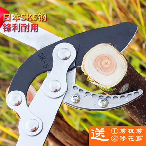 速发粗枝剪大力伸缩强力剪园艺林省力高枝果剪空树修枝剪