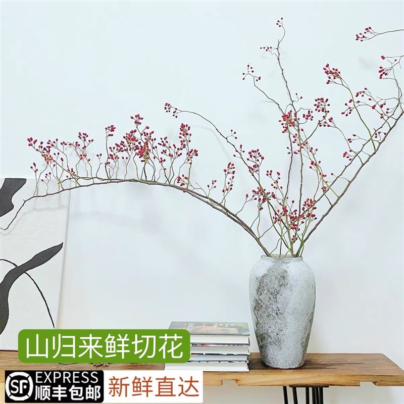 速发山归来蔷薇果鲜切枝条水培植物家庭室室内瓶插观果造型艺术插