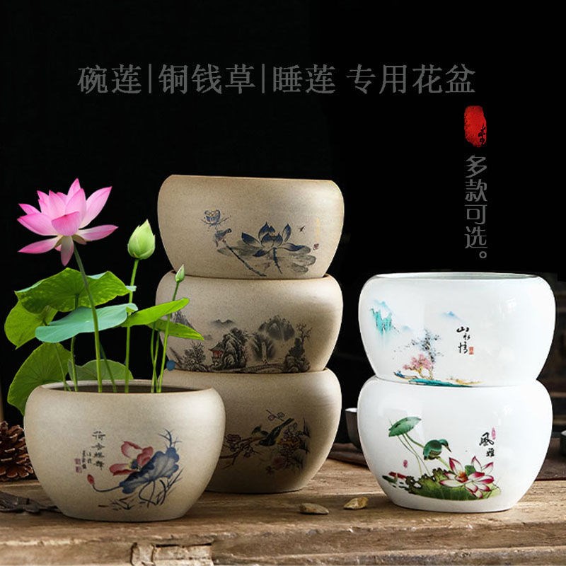 速发荷花缸粗陶睡花草钱铜碗莲水培莲盆陶瓷一叶莲室内大号紫砂水