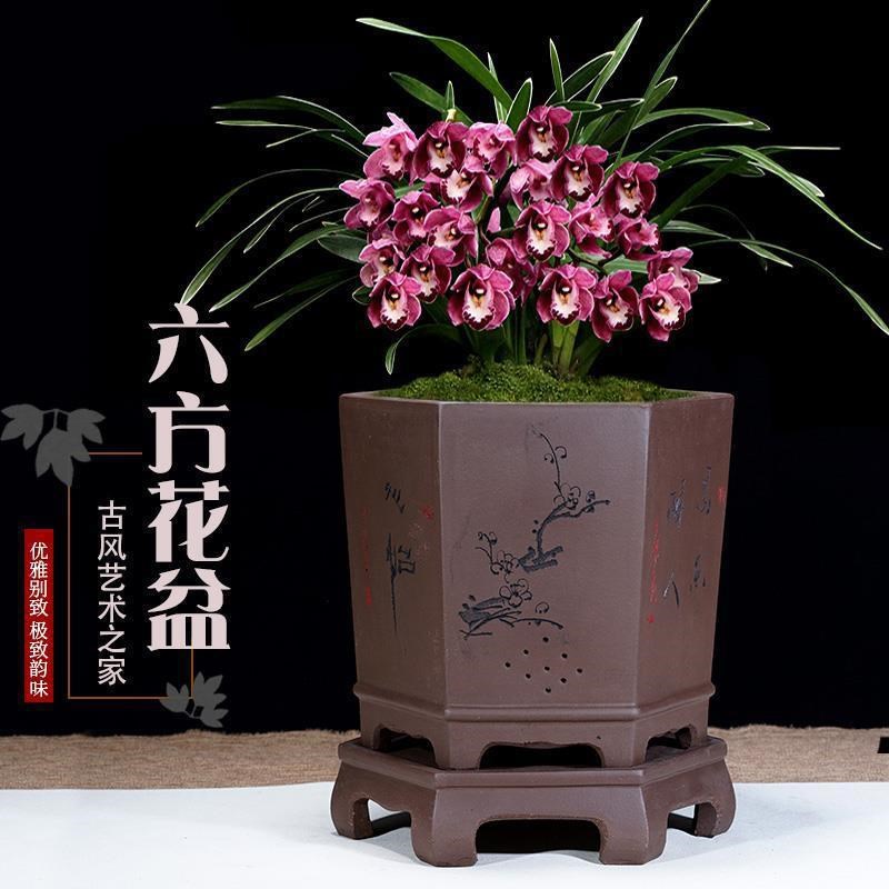 速发紫砂兰花盆精品花盆大口径君子兰盆景室内大号育苗陶瓷花盆