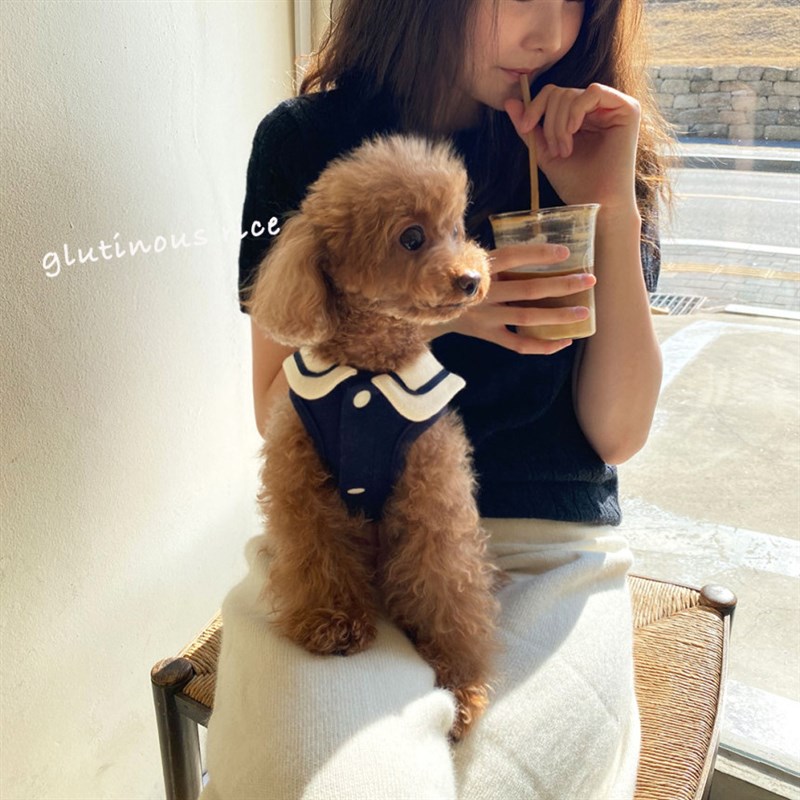 速发泰迪背服衣服2025新款猫衣服防比毛小型犬掉熊贵宾衣心服