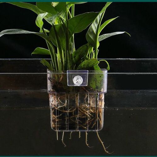 速发鱼缸水培植物蓝定植篮壁挂式水草种植杯鱼缸造景装饰绿萝固定