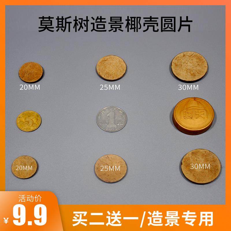 速发莫斯树造景圆木片水草缸景观制作原材料鱼缸沉壳椰木片泰国枝