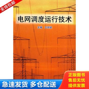 正版库存书电网调度运行技术 9787810542326 王世祯　主编