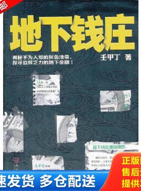 正版库存书9787543063761 地下钱庄 壬甲丁　著 武汉出版社