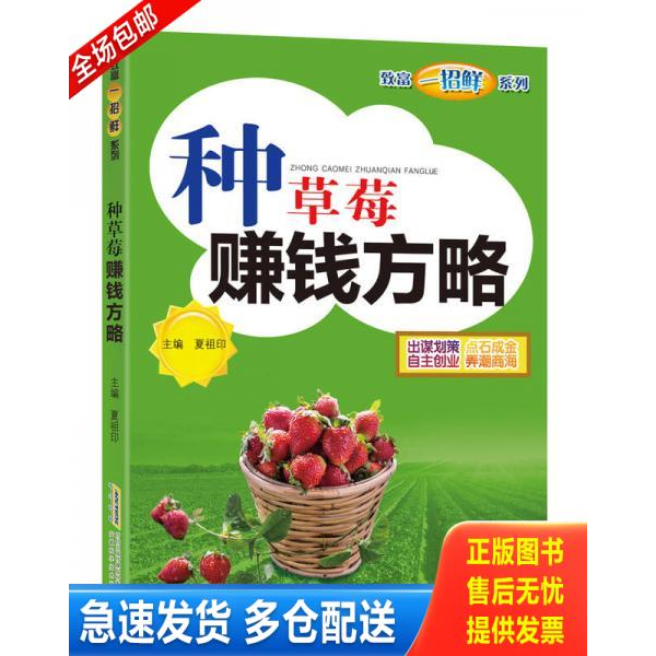 正版库存书种草莓赚钱方略 9787533775360 夏祖印 安徽科学技术出版社