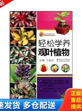 正版库存书9787534572951 轻松学养观叶植物 王意成 江苏科学技术出版社