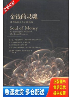 正版库存书金钱的灵魂 9787508081168 [美]琳内·特威斯特特蕾莎·巴克著,艾琦译 华夏出版社
