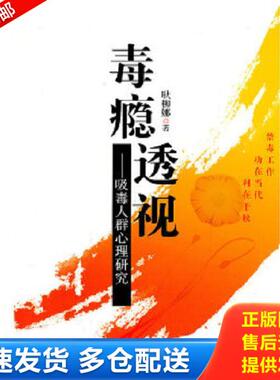 正版库存书9787212040871 毒瘾透视：吸毒人群心理研究 耿柳娜　著 安徽人民出版社