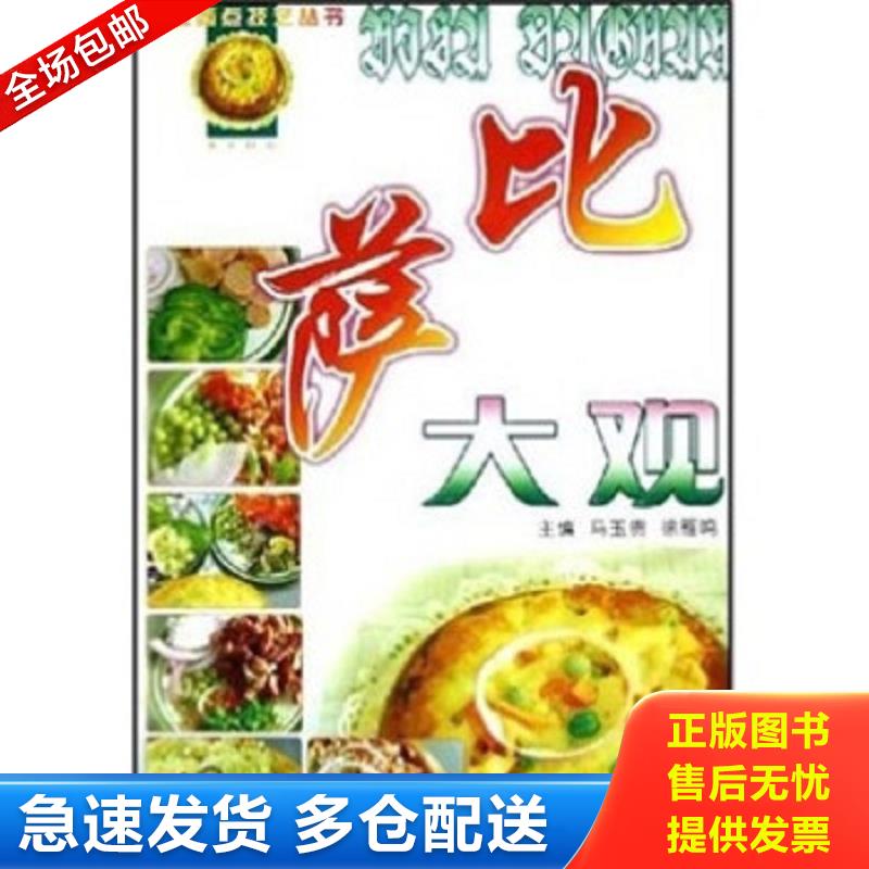 正版包邮9787538848120 比萨大观 马玉贵