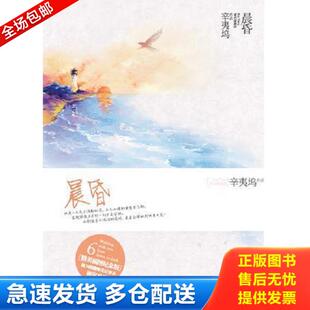 正版库存书9787539962009 晨昏 辛夷坞