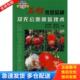 库存书9787109113855 中国农业出版 石榴优良品种及无公害栽培技术 侯乐峰等主编 社 9787109113855 正版