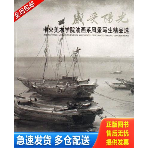 正版库存书感受阳光:中央美术学院油画系风景写生精品选 9787539419503 蔡国胜 湖北美术出版社