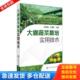 库存书9787122246189 化学工业出版 大棚蔬菜栽培实用技术 王迪轩主编 社 何永梅 正版