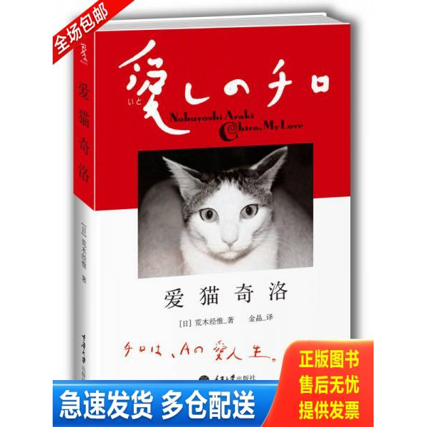 正版库存书爱猫奇洛 9787562473442 (日)荒木经惟 重庆大学出版社