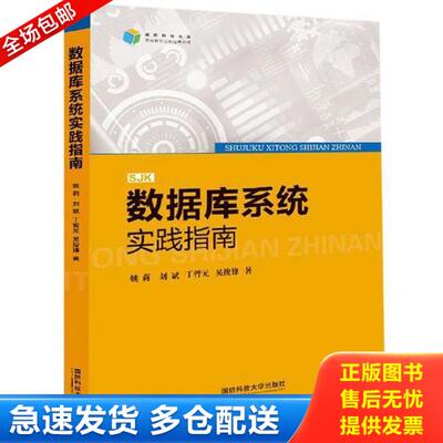 正版库存书9787567304925 数据库系统实践指南 姚莉
