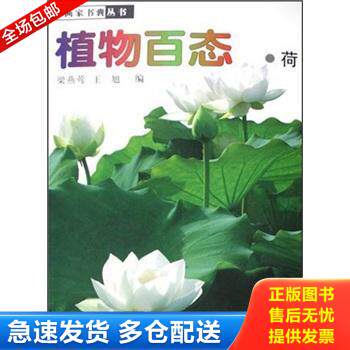 正版库存书植物百态.荷 9787807494737 梁燕莺 江西美术出版社