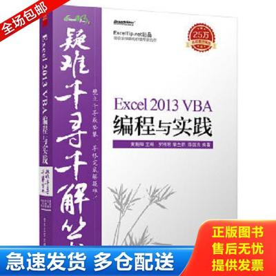 正版库存书9787121263965 疑难千寻千解丛书 Excel 2013 VBA编程与实践 罗刚君,章兰新,陈国良,黄朝阳著 电子工业出版社