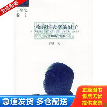 正版库存书9787222039223 一枚穿过天空的钉子 于坚著 云南人民出版社