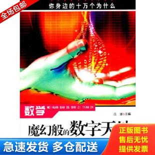 数字天地 数学——魔幻般 庄浪 主编 社 正版 合肥工业大学出版 库存书9787565000898