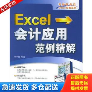 电子工业出版 正版 韩小良编著 Excel会计应用范例精解 社 库存书9787121017896