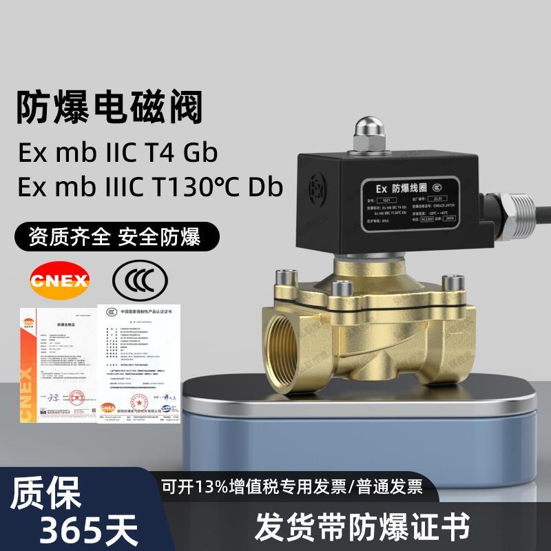 防爆电磁阀 常闭 煤气阀 天然气阀电磁控制阀4分220V24VDN15 2025