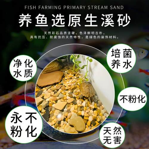 天然河沙流260331石鹅卵石石原生水族鱼水草缸溪多肉铺缸面小子过
