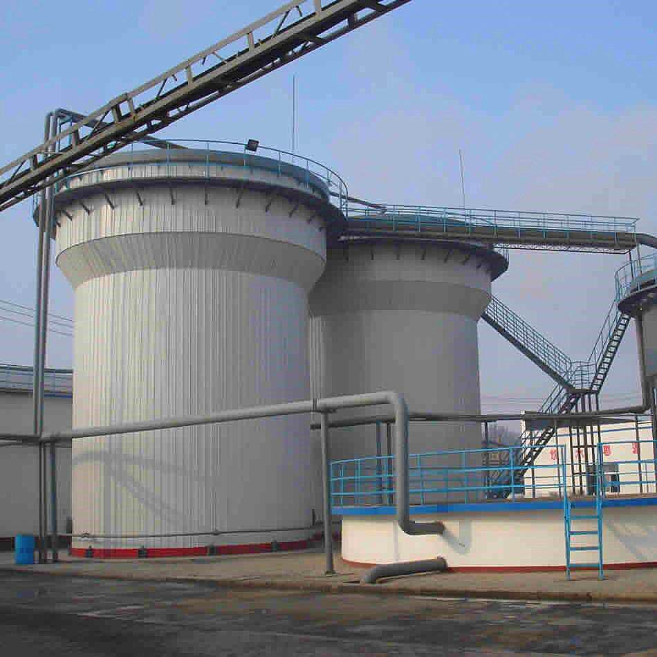lzyy-1 厌氧氧反 应器 高度污水处理设备厌罐厂家现场浓制作