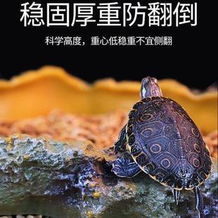 饰守宫宠物蛇饮水盆 爬宠食盆蜥蜴陆龟角蛙专用泡澡盆饲养箱造景装