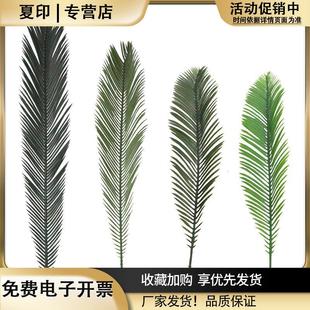 仿真植物铁树叶绿植铁树棕榈叶园林装饰造景拍摄蒲扇